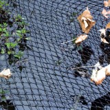 Bassin de jardin : FILET PRO POUR BASSIN COVER NET PRO 3 X 2M, Filet pour bassin
