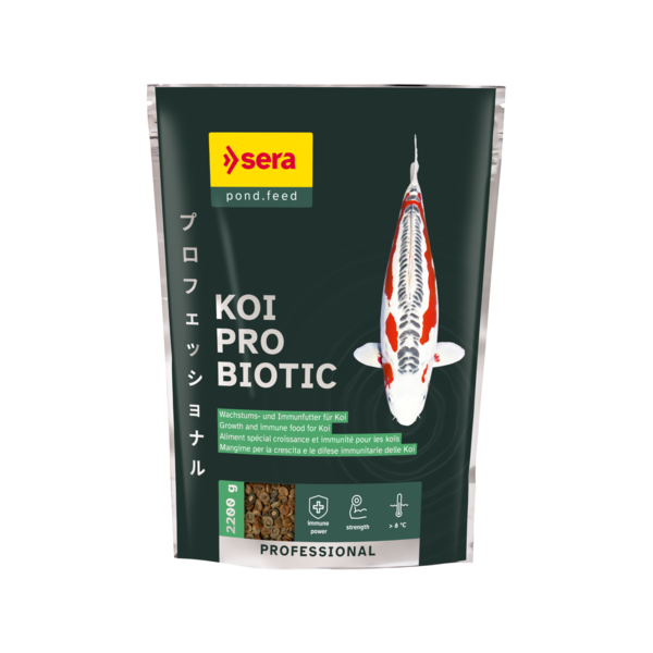 Bassin de jardin : SERA KOI ALL SEASONS PROBIOTIC 2.2kg, Nourriture Serapond