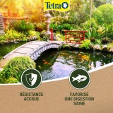 Bassin de jardin : TETRA POND STICK 4 L, Nourriture TETRA POND