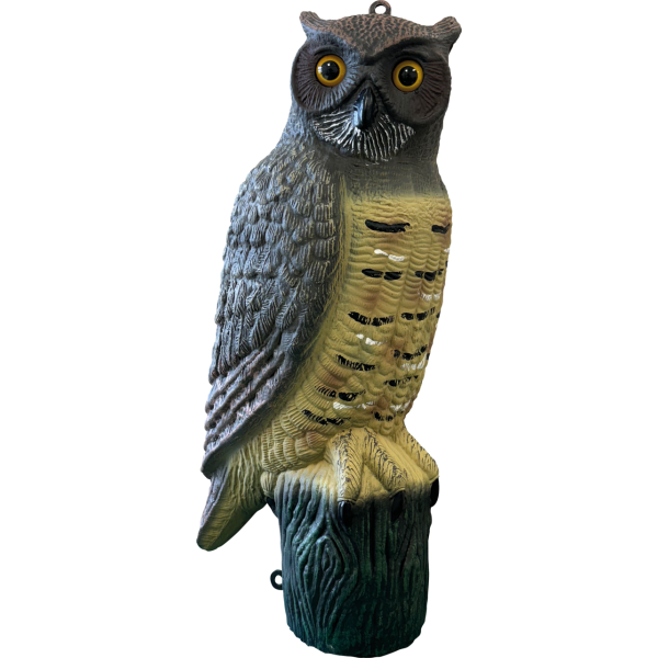 Bassin de jardin : SF DECO BIRD HIBOU (50x24x23cm), Figurines