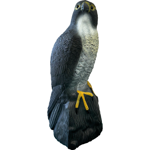 Bassin de jardin : SF DECO BIRD FAUCON (41x17.5x17cm), Figurines
