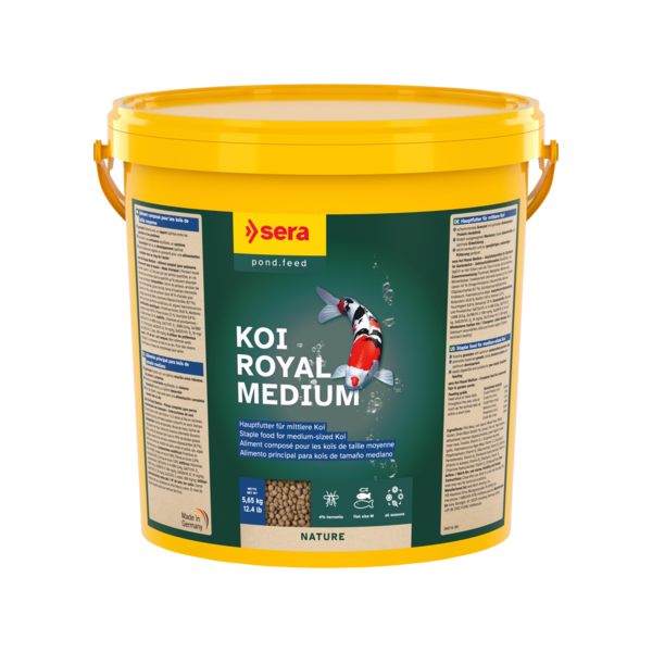 Bassin de jardin : SERA Koi Royal medium 21L (5.65KG), Nourriture Serapond