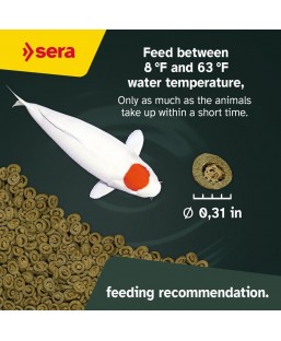 Bassin de jardin : SERA KOI Professional printemps/ automne 7KG, Nourriture Serapond