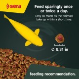 Bassin de jardin : SERA KOI Professional été 2.2KG, Nourriture Serapond