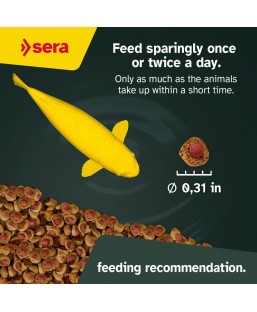 Bassin de jardin : SERA KOI Professional été 2.2KG, Nourriture Serapond