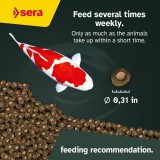 Bassin de jardin : SERA Koi color Spirulina spécial couleurs 2.2KG, Nourriture Serapond