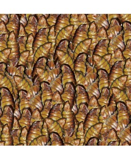 Bassin de jardin : sera Koi Silkworm 1L (330g), Nourriture Serapond