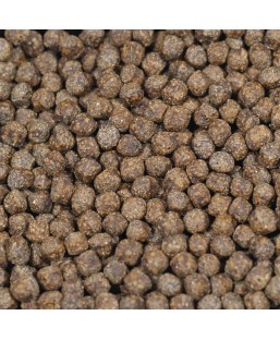 Bassin de jardin : PROPOND Summer+Color 2,0kg, Nourriture JBL