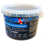 Bassin de jardin : COLOMBO BACTO BALLS 2500ML (25000 L), Traitement Colombo