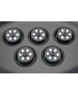 Bassin de jardin : Water Starlet OASE, Eclairages