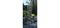 Bassin de jardin : Water Starlet OASE, Eclairages