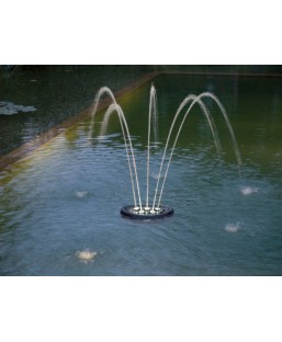 Bassin de jardin : Water Starlet OASE, Eclairages