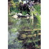 Bassin de jardin : OASE BioSys Skimmer +, Skimmer