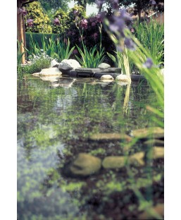 Bassin de jardin : OASE BioSys Skimmer +, Skimmer Bassin de jardin : OASE BioSys Skimmer +, Skimmer