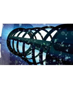 Bassin de jardin : UV OASE BITRON ECO 240W, Stérilisateurs UV OASE Bassin de jardin : UV OASE BITRON ECO 240W, Stérilisateurs UV OASE