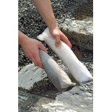 Bassin de jardin : AquaActiv PhosLess kit de recharge (x 2 sacs), Traitement OASE AQUAACTIV