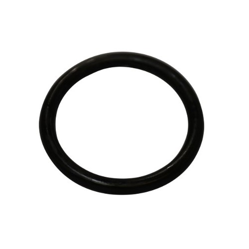 Bassin de jardin : 73481 Joint torique Viton 32 x 4 SH70 graissé, Pièces divers oase