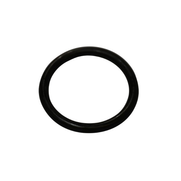 Bassin de jardin : 73481 Joint torique Viton 32 x 4 SH70 graissé, Pièces divers oase