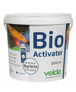BIO-ACTIVATOR 2500 (25m2) contre la vase