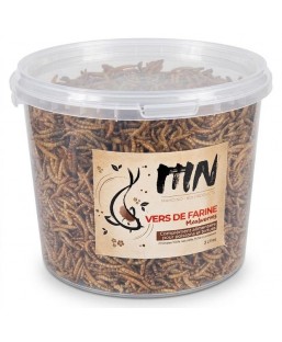 Bassin de jardin : MAHO NO VERS DE FARINE 3 litres, Gammares crevettes vers à soies