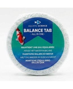 Bassin de jardin : BALANCE TAB All In One - BioActif - Galet effervescent 250g (5m3), Traitement KIDO