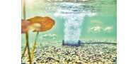 Bassin de jardin : AquaOxy diffuseur barre S + 5 Mètres de tuyaux, Diffuseurs pompe à air