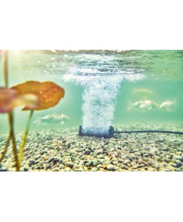 Bassin de jardin : AquaOxy diffuseur barre S + 5 Mètres de tuyaux, Diffuseurs pompe à air