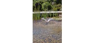 Bassin de jardin : Pontec PondoRell 5000 UVC- uv 9W - pompe 1100 L/H, Pompe de bassin PONTEC
