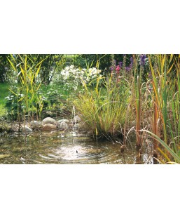 Bassin de jardin : Pontec Pompe PondoSolar 150, Pompe de bassin PONTEC