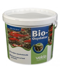 Bassin de jardin : Bio-Oxydator pour 50m2, Traitement Velda