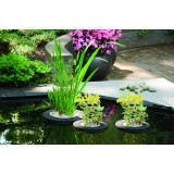 Bassin de jardin : Panier rond flottant 25cm pour bassin, Paniers flottants