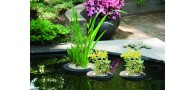 Bassin de jardin : Panier rond flottant 25cm pour bassin, Paniers flottants