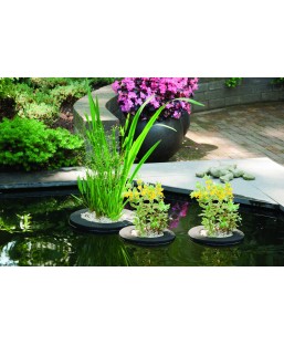 Bassin de jardin : Panier rond flottant 25cm pour bassin, Paniers flottants