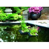 Bassin de jardin : Panier carré flottant 25cm pour bassin, Paniers flottants