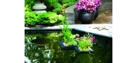 Bassin de jardin : Panier carré flottant 25cm pour bassin, Paniers flottants