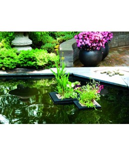 Kit panier flottant carré avec plantes aquatiques de bassin