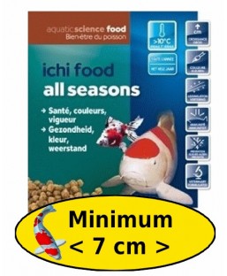 Bassin de jardin : ICHI FOOD ALL SEASON 1KG MINI, Nourriture Ichi Food