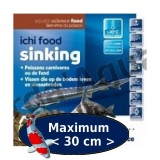 Bassin de jardin : ICHI FOOD SINKING 3.5KG MAXI, Nourriture Ichi Food-Aquatic Science