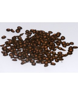 Bassin de jardin : SERA KOI COLOR Spirulina spécial couleurs 7KG, Nourriture Serapond
