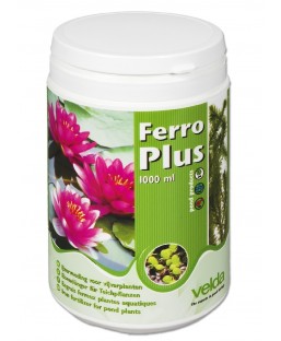 Bassin de jardin : Ferro Plus, Produits plantations bassin