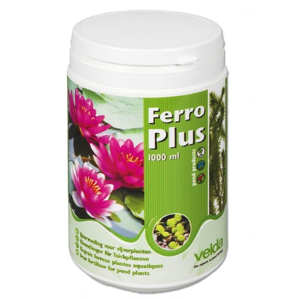 Bassin de jardin : Ferro Plus, Produits plantations bassin