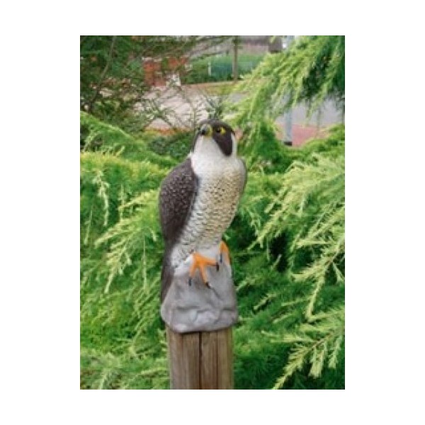 Bassin de jardin : Faucon 42cm, Fin de série