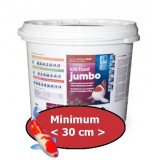 Bassin de jardin : Ichi Food Jumbo 4 kg, Fin de série