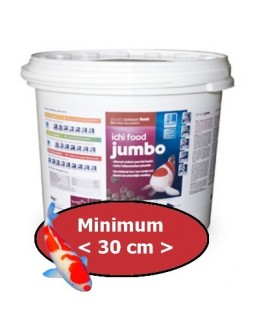 Bassin de jardin : Ichi Food Jumbo 4 kg, Fin de série