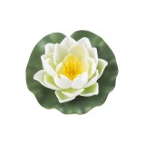 Bassin de jardin : Lotus blanc 10cm, Nenuphars decoratifs