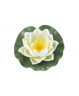 Bassin de jardin : Lotus blanc 10cm, Nenuphars decoratifs