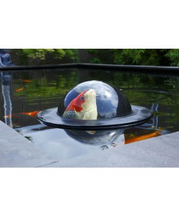 Bassin de jardin : Floating Fish Dome, Accessoires poissons