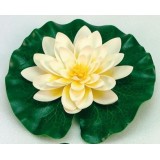 Bassin de jardin : Nénuphar jaune 20 cm, Fin de série