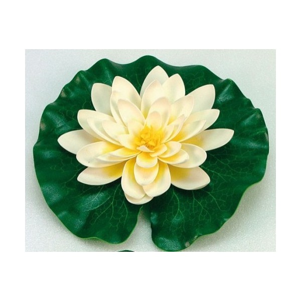 Bassin de jardin : Nénuphar jaune 20 cm, Fin de série