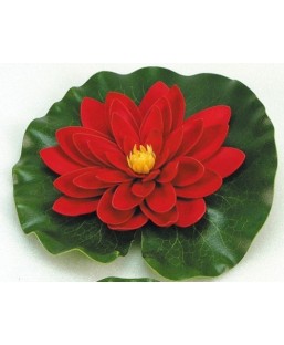 Bassin de jardin : Nénuphar rouge 20 cm, Nenuphars decoratifs